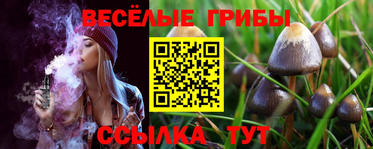 Петропавловск-Камчатский  Галлюциногенные грибы ЛСД  Галлюциногенные грибы Psilocybine cubensis  Вход с VPN 
